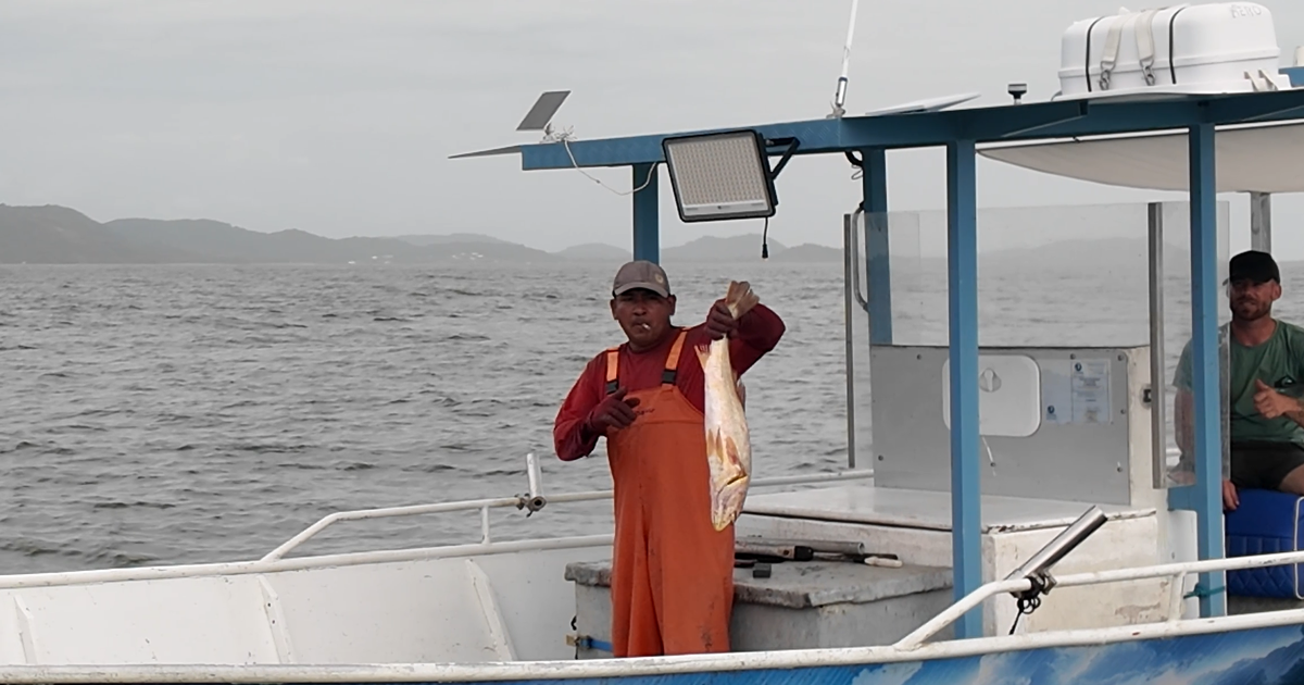 «Un pillage des ressources halieutiques» : la pêche illégale transfrontalière, un véritable fléau en Guyane