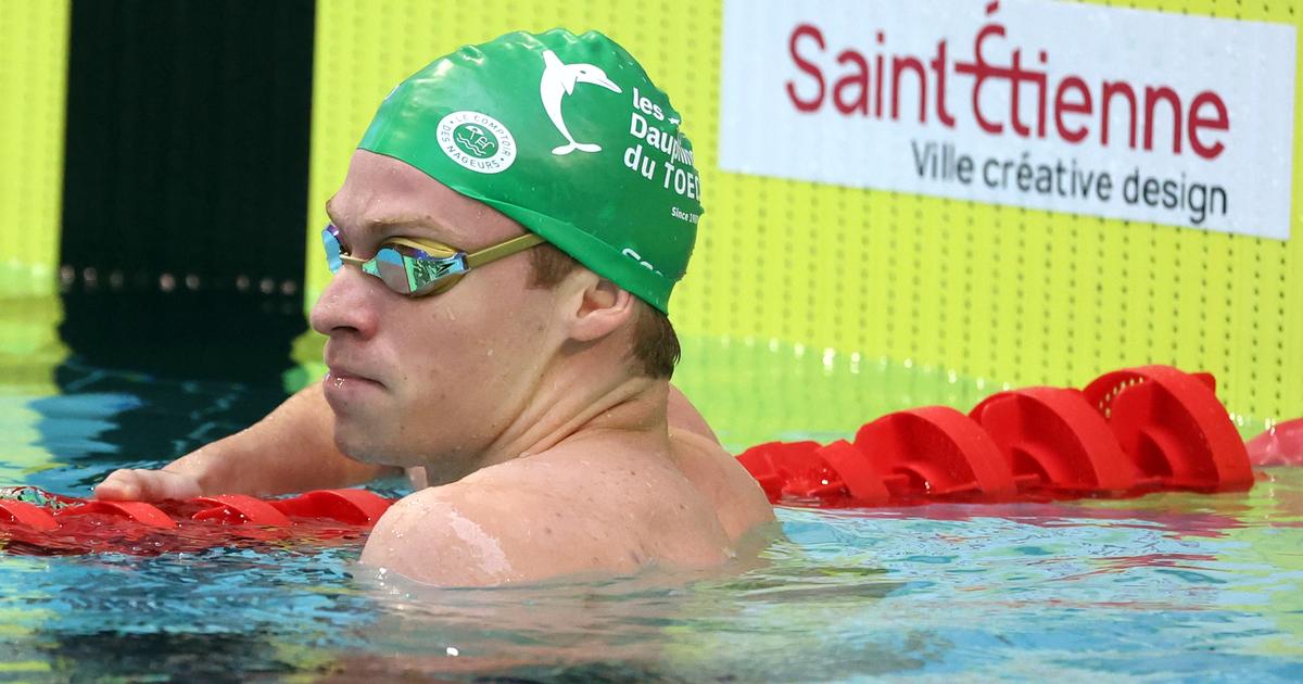 Natation : touché à un adducteur, Léon Marchand forfait sur 200 m nage libre aux Championnats de France