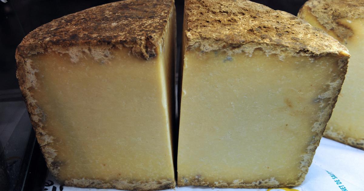 Salers, cantal... Ces fromages menacés de disparaître en raison des canicules à répétition