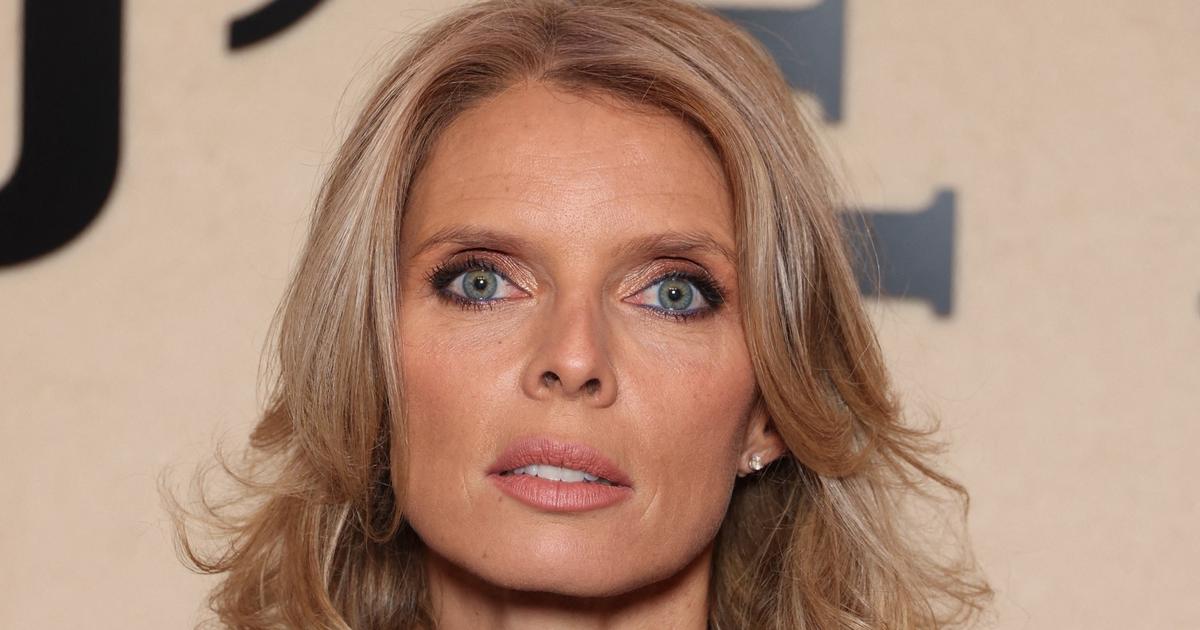 «Il suffit d’une seconde pour que tout bascule» : la fille de Sylvie Tellier mordue à la bouche par son chien