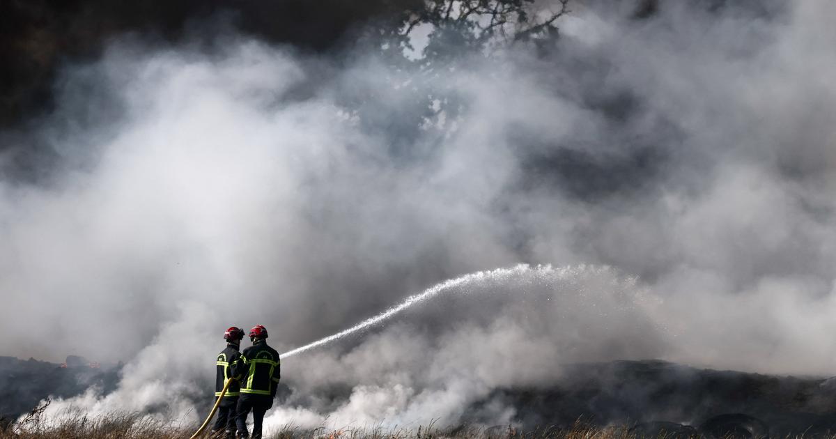 EN DIRECT - Aude, Canet-en-Roussillon : les incendies se multiplient dans le sud de la France