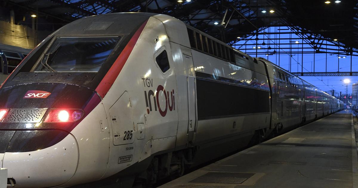 «Personne n’est descendu sur les rails» : un chat «décapité» par un train SNCF à la Gare de Lyon