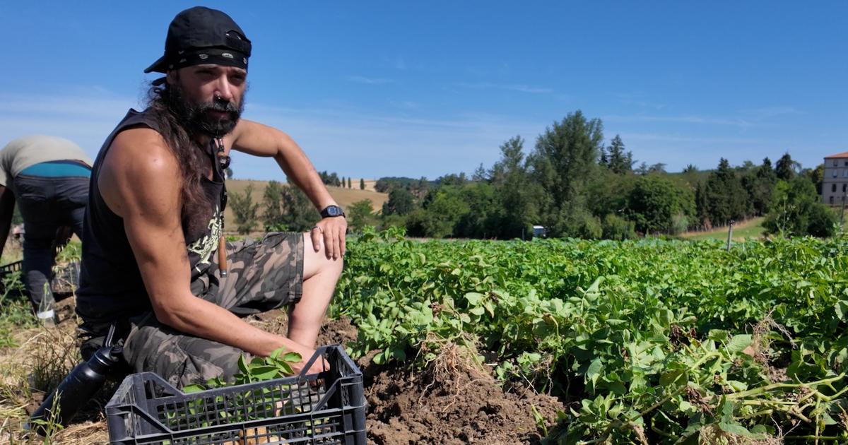 «Une société qui décide de supprimer les plus fragiles va à sa perte»: au Village de François, où l’on tend la main aux plus précaires