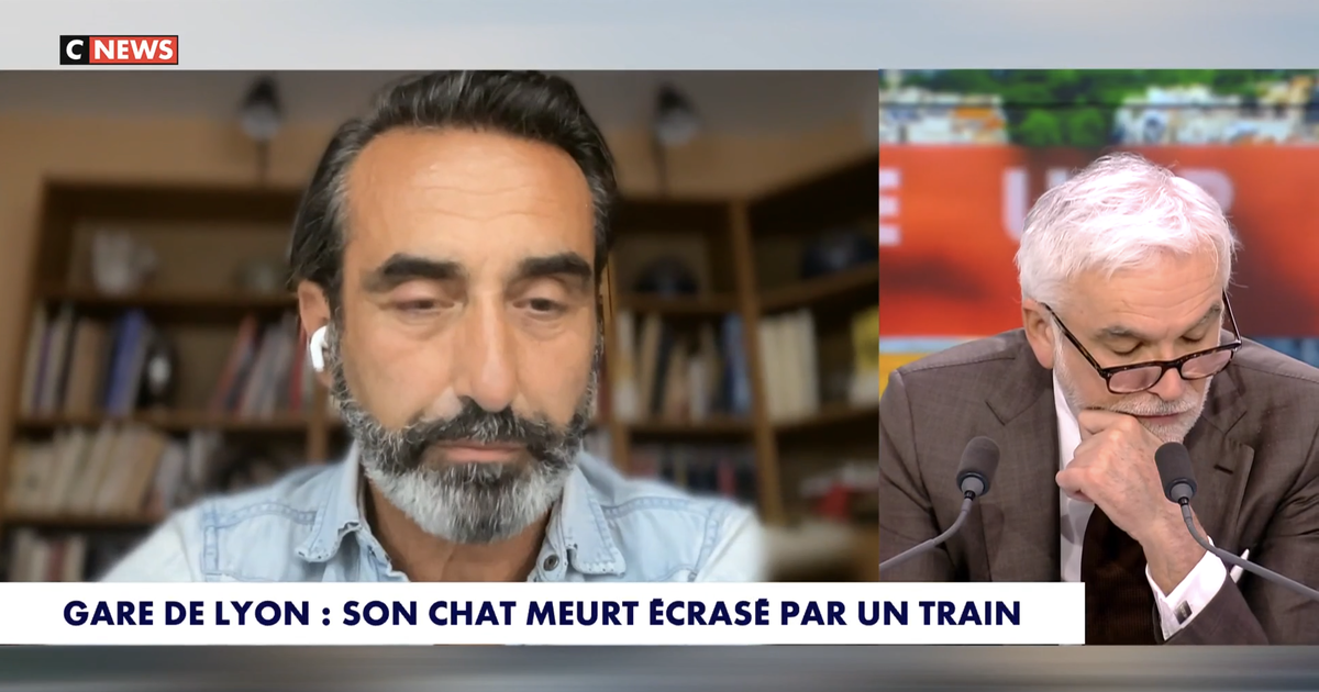 «L’émoi légitime suscité par la mort du chat d’Olivier Benkemoun est aussi révélateur de la montée de l’animalisme»