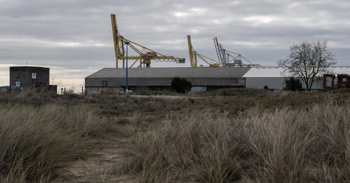 Gironde : nouveau feu vert pour le projet de méga usine de production de saumons