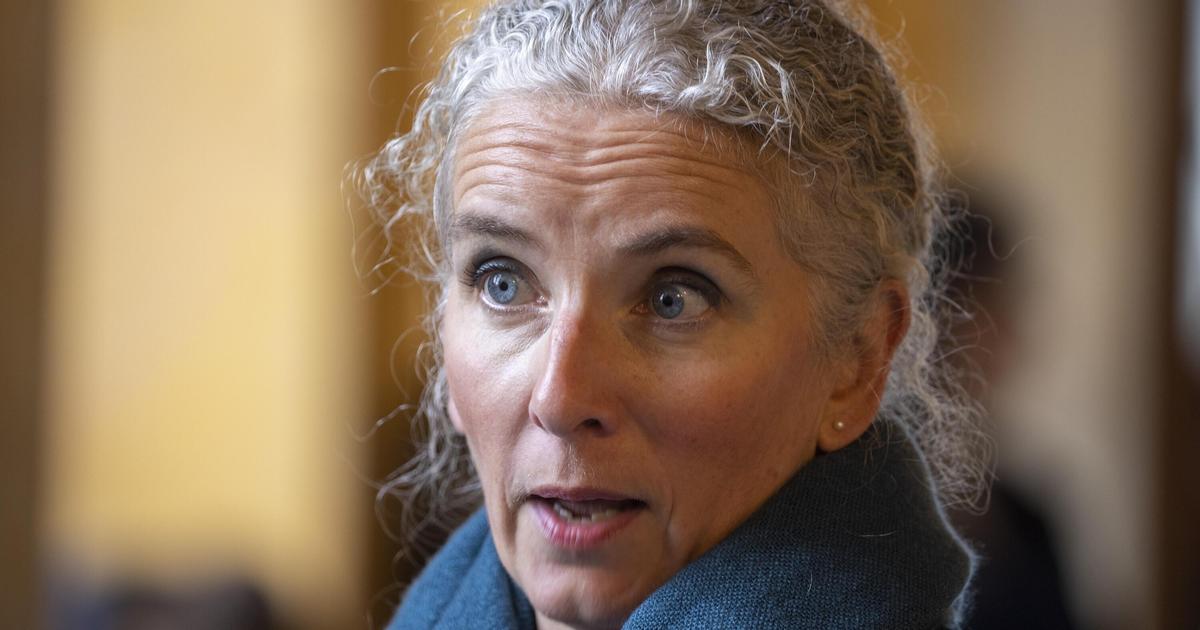 Scènes de bagarres dans des Lidl : la députée Delphine Batho fait un signalement contre l’enseigne