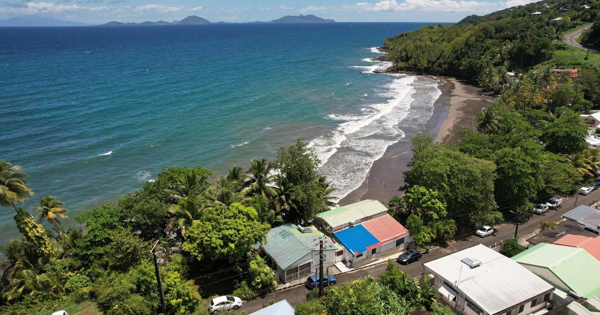 «Sale temps pour la planète» (France 5) : Guadeloupe, un paradis menacé