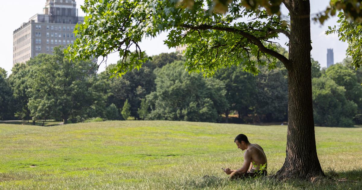 Plus de 45°C attendus à New York : la côte est des États-Unis plonge dans la fournaise, en pleine Coupe du monde et pour les célébrations des 250 ans