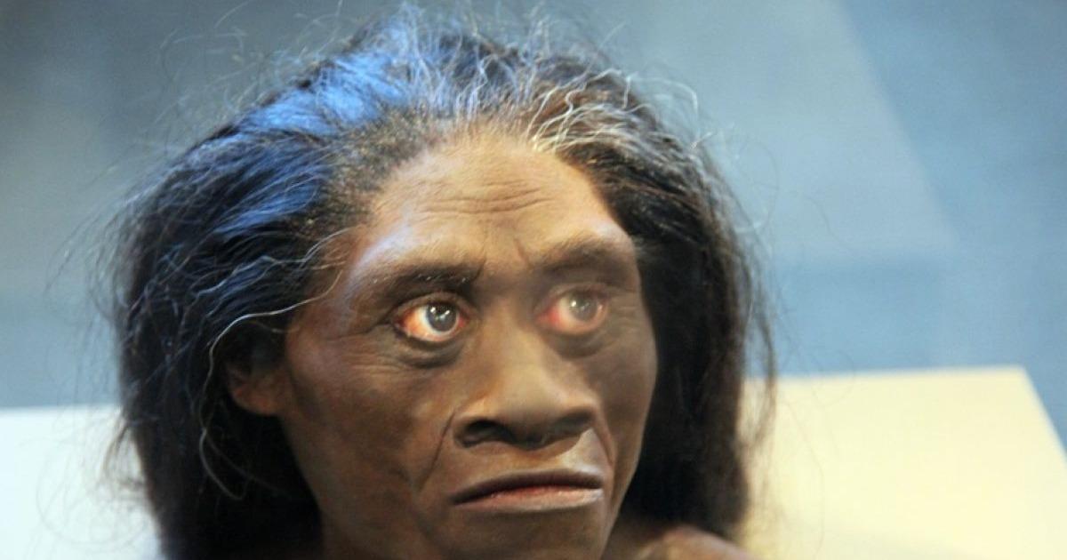 Comment les hommes de Florès, ces «Hobbits » préhistoriques, ont dû leur survie aux dragons de Komodo