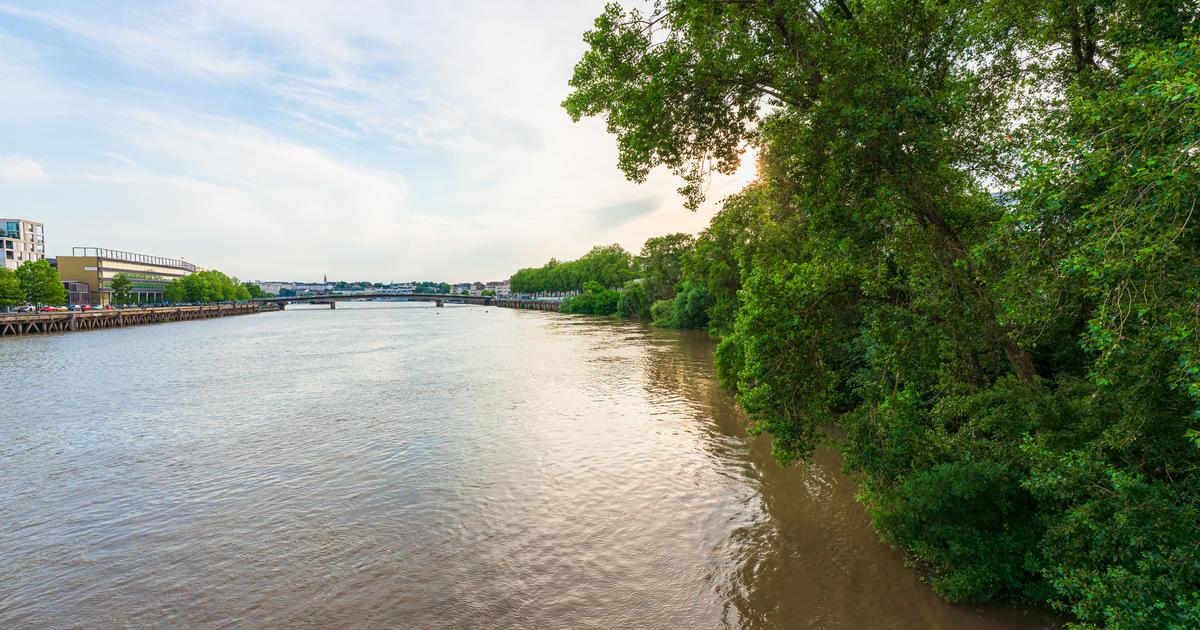 Canicule : dans l’estuaire de la Loire, des records de température et des risques pour les poissons