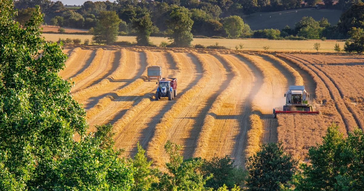 «Sans véritable politique de préservation des ressources en eau, il ne peut y avoir d’agriculture viable»