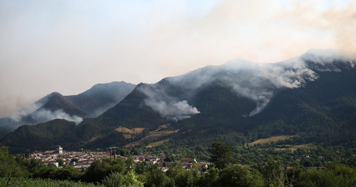 Des Alpes aux Pyrénées, l’estive des troupeaux bouleversée par la canicule