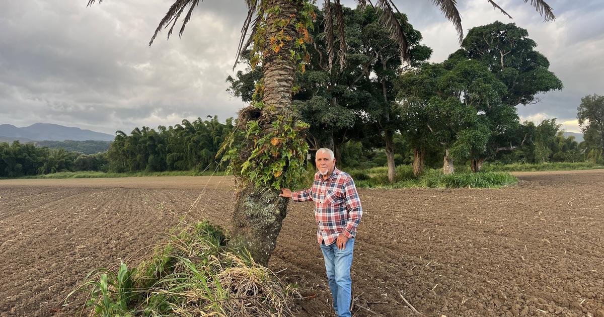En Nouvelle-Calédonie, les descendants du bagne lèvent le tabou sur la tragique histoire coloniale