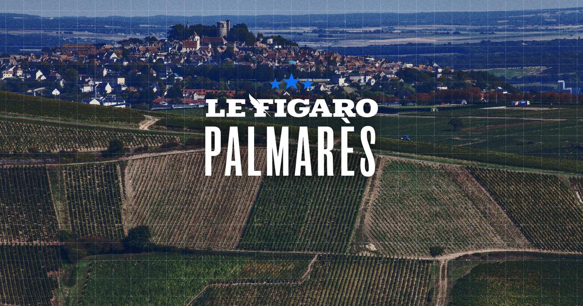 Le palmarès des 30 sancerres qui ont séduit la rédaction du Figaro
