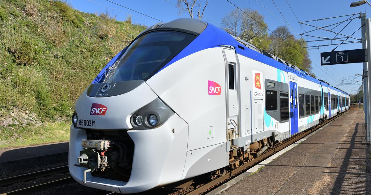 Canicule : trafic TGV «normal», mais suppression d'un train Intercités sur trois, selon la SNCF