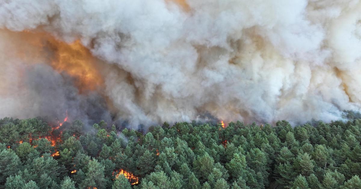 Seine-et-Marne : un incendie «très virulent» ravage 16 hectares près de l'autoroute A6 en partie fermée, deux avions bombardiers d'eau envoyés