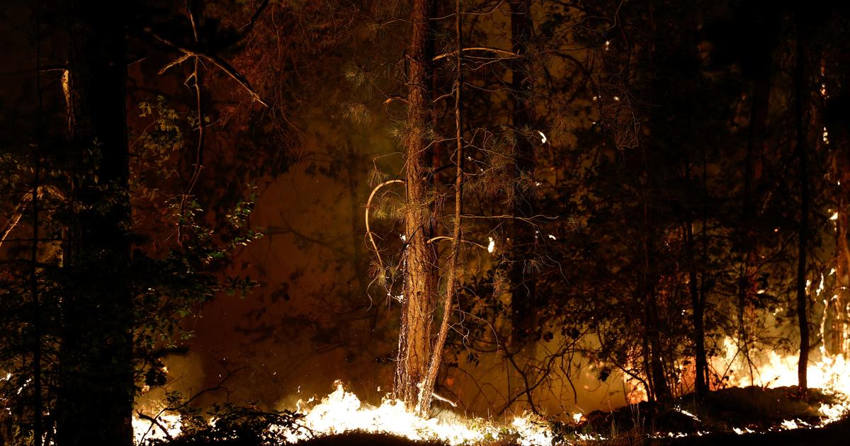 Incendie à Fontainebleau : «Avec la déprise agricole, on a laissé croître la forêt jusqu’aux portes de la ville»