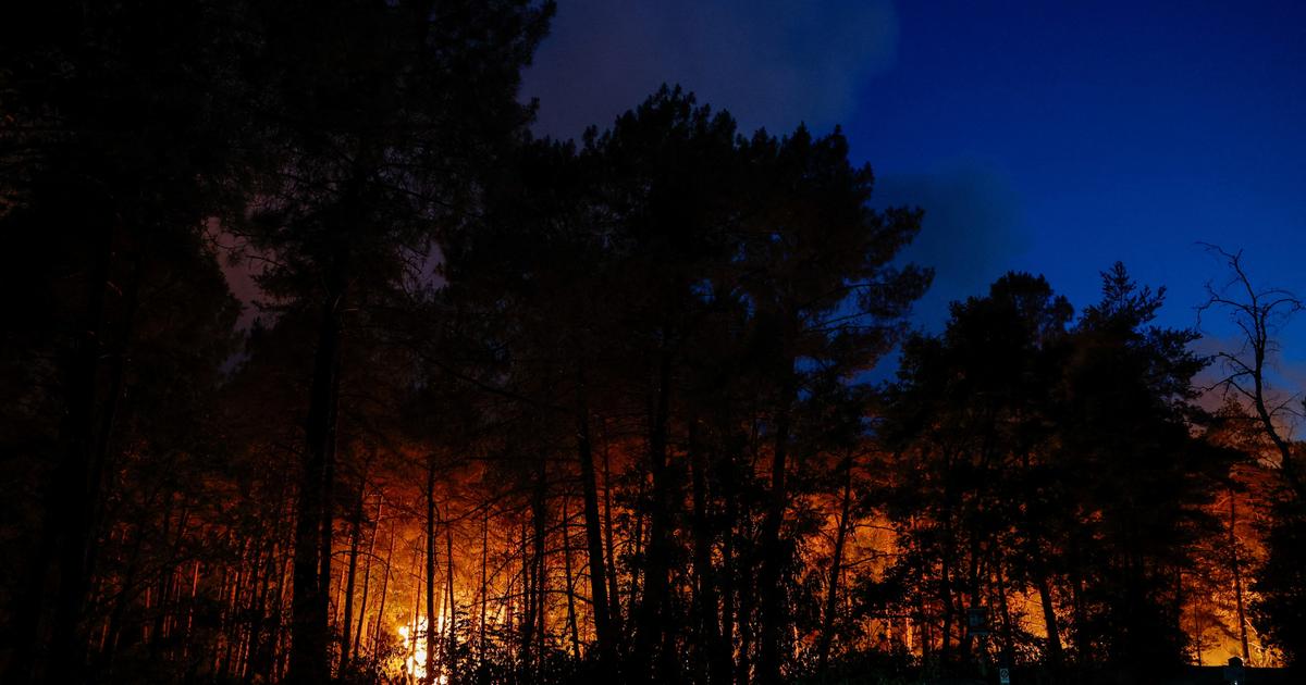«Un incendie d’une ampleur exceptionnelle» : visualisez en carte les feux en cours dans la forêt de Fontainebleau