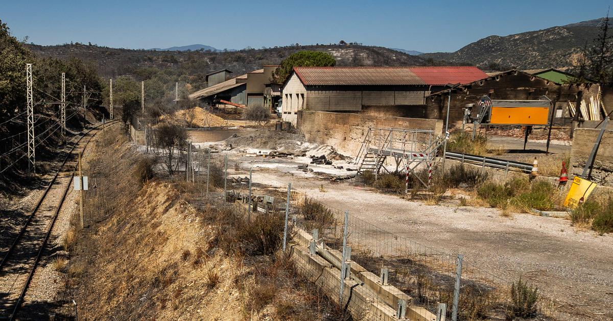 «Les pompiers ont quitté les lieux» : fin des feux et reprise de la circulation le long de la ligne de TGV sud-est, indique SNCF Réseau