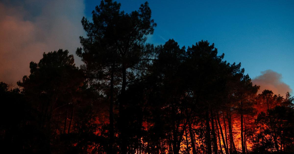 EN DIRECT - Incendie en forêt de Fontainebleau : deux Canadair vont être déployés, des pompiers appelés en renfort provenant de toute la France