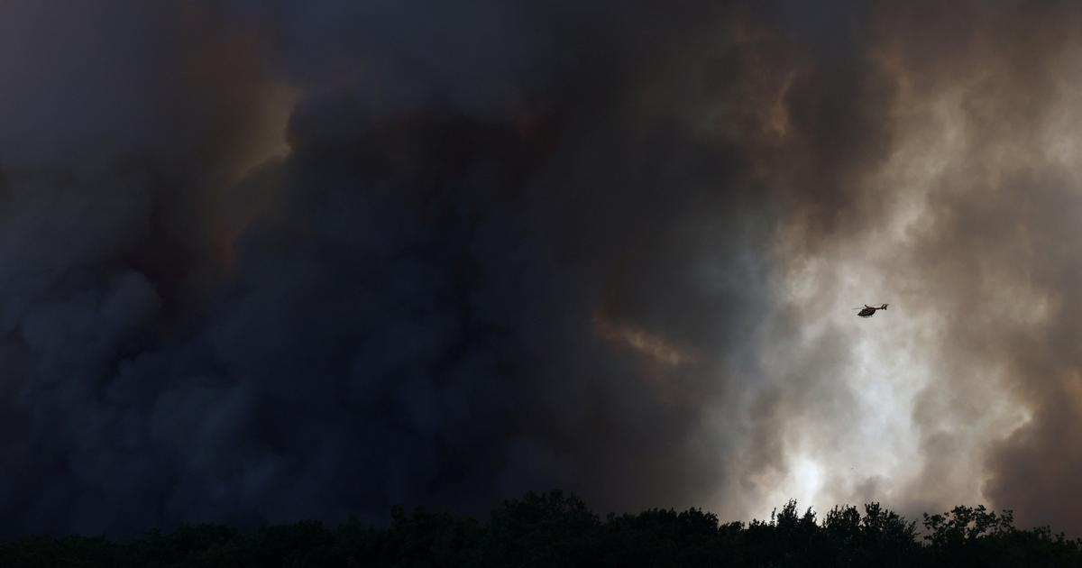 Dans la forêt de Fontainebleau, les secours luttent contre des incendies exceptionnels