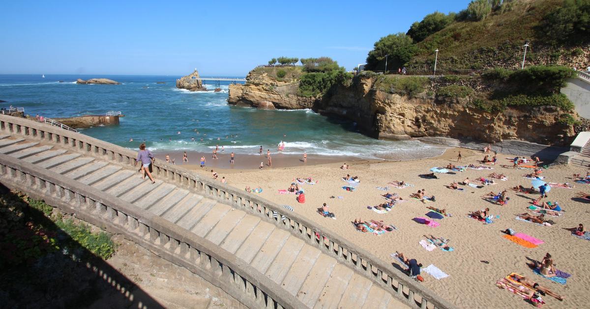 Gêne respiratoire, fièvre et éruption cutanée : sur la côte basque, une microalgue toxique profite du réchauffement climatique