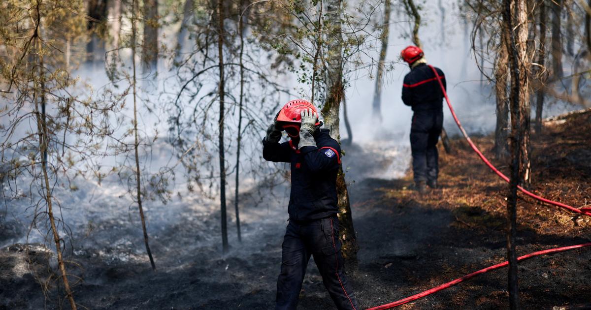 Dans la forêt de Fontainebleau, l’incendie est fixé, six suspects interpellés