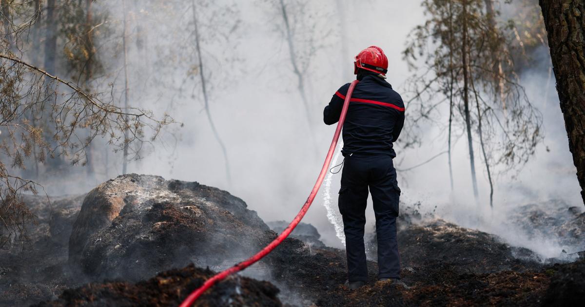 «L’incendie pourrait couver plusieurs mois»: que sont les «feux zombies» qui compliquent la situation à Fontainebleau?