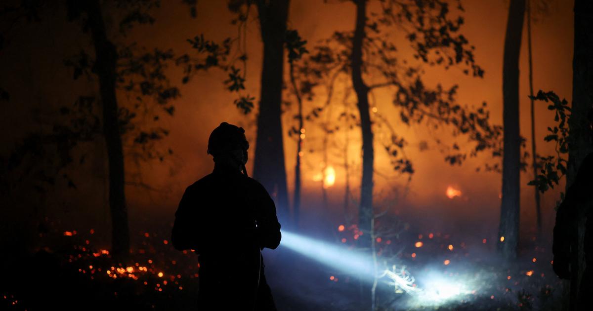 EN DIRECT - Incendies : les feux en forêt de Fontainebleau ont parcouru près de 2000 hectares et continuent de progresser
