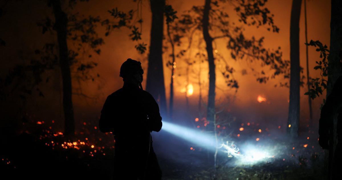 Incendies en forêt de Fontainebleau : ce que l’on sait des six individus en garde à vue