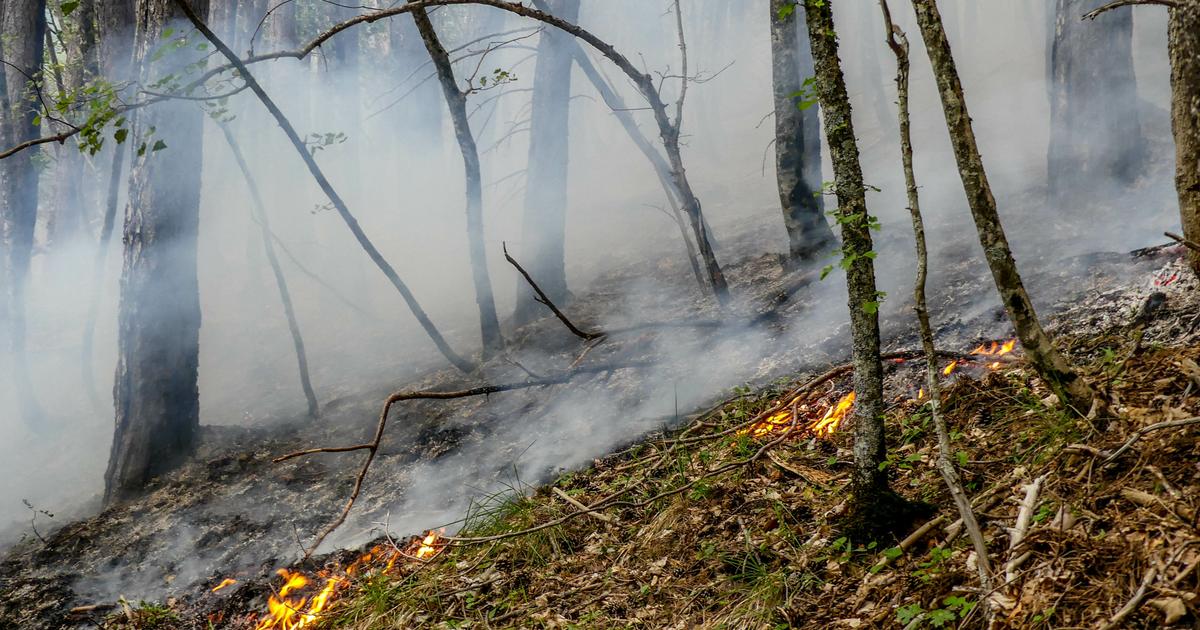 Incendies en Creuse : un pyromane de 28 ans mis en examen pour trois départs de feu