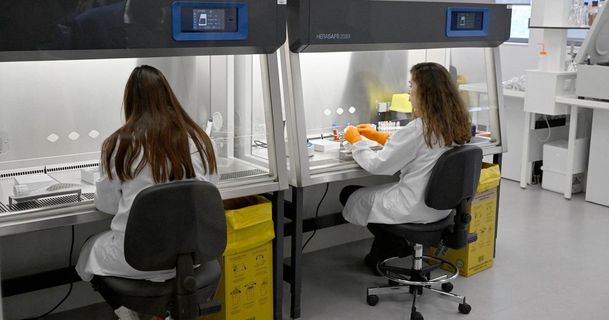Rein, pancréas, prostate ou lymphomes : une nouvelle signature du tabac retrouvée dans l’ADN de nombreux cancers