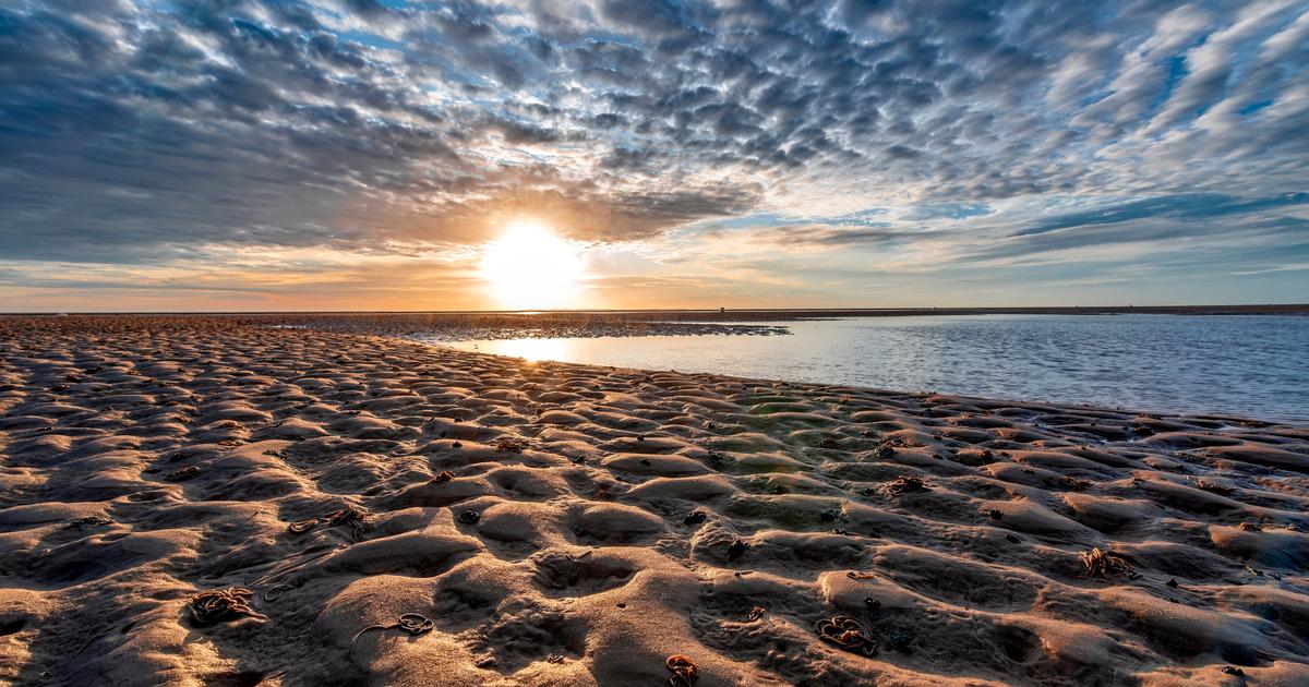 Des températures jusqu’à 38°C, du soleil sur les plages et un risque élevé d’incendies : découvrez la météo du week-end