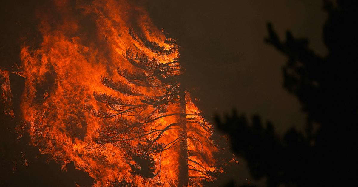Espagne : l'incendie à 100 km au nord de Madrid est «l'un des plus complexes» de l'histoire du pays, selon les autorités
