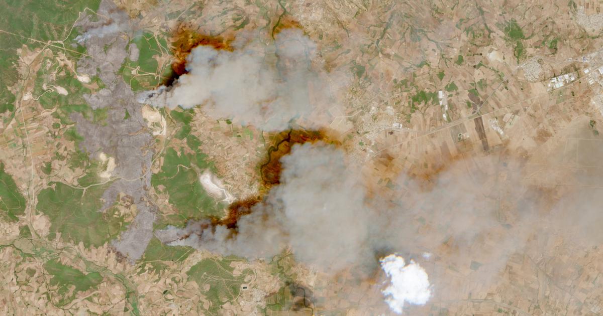 Incendies dans le nord-est de l’Algérie : plus de 100 personnes évacuées et 150 habitations touchées