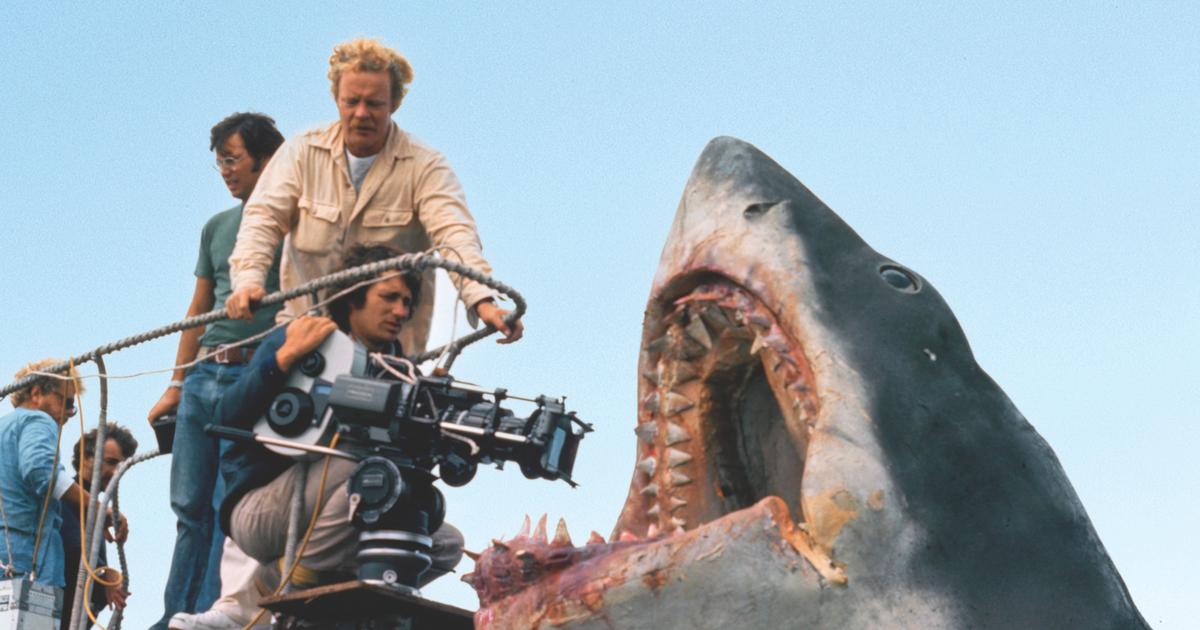 «Brusquement, la tête a plongé» : Les Dents de la mer, un tournage qui vire au cauchemar