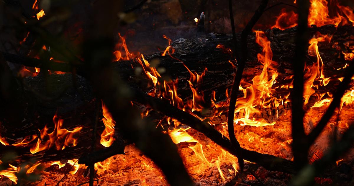 EN DIRECT - Incendie dans le Var : le feu est «contenu» malgré «de nombreux points chauds», déjà plus de 2550 hectares parcourus