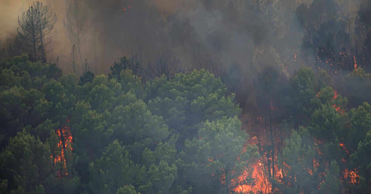 Incendie dans le Var : des reprises de feu menacent les communes de Pontevès et Barjols