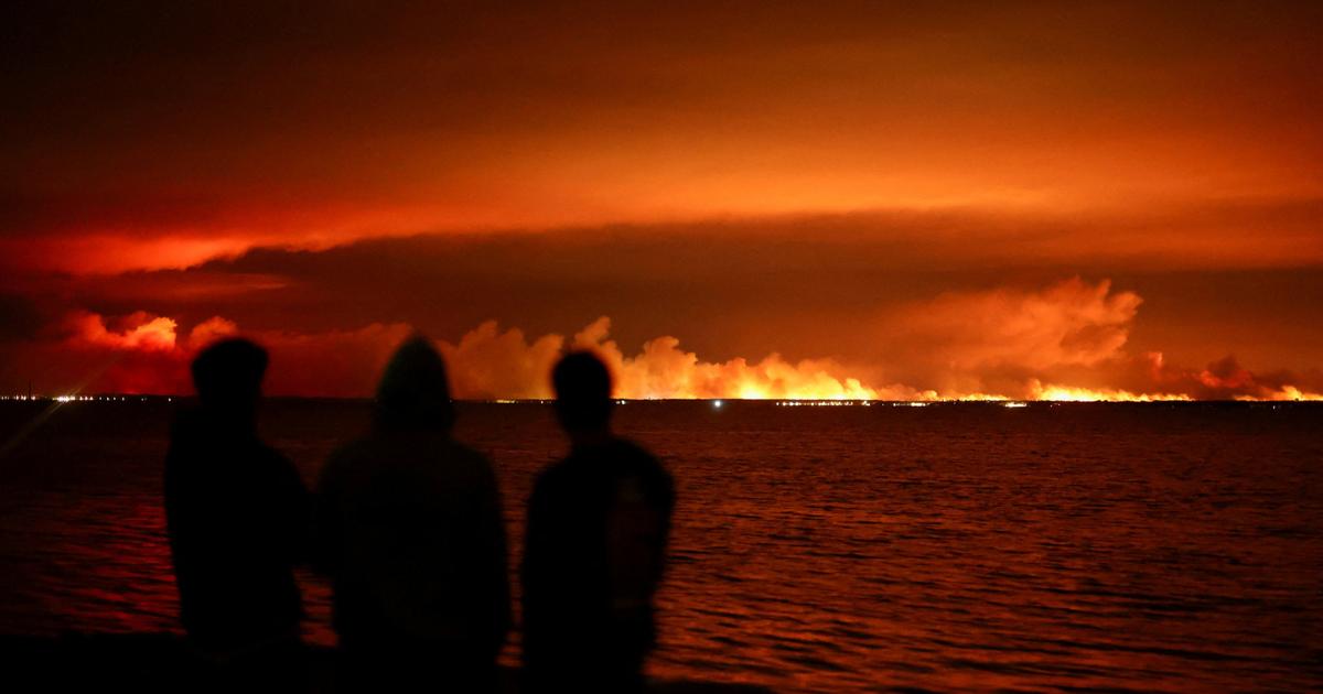 Quatre ans après les incendies géants de 2022, pourquoi la Gironde reste si vulnérable aux feux