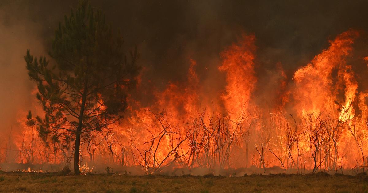 EN DIRECT - Incendies en France : 115.000 hectares parcourus depuis le début de l’année, selon Nuñez