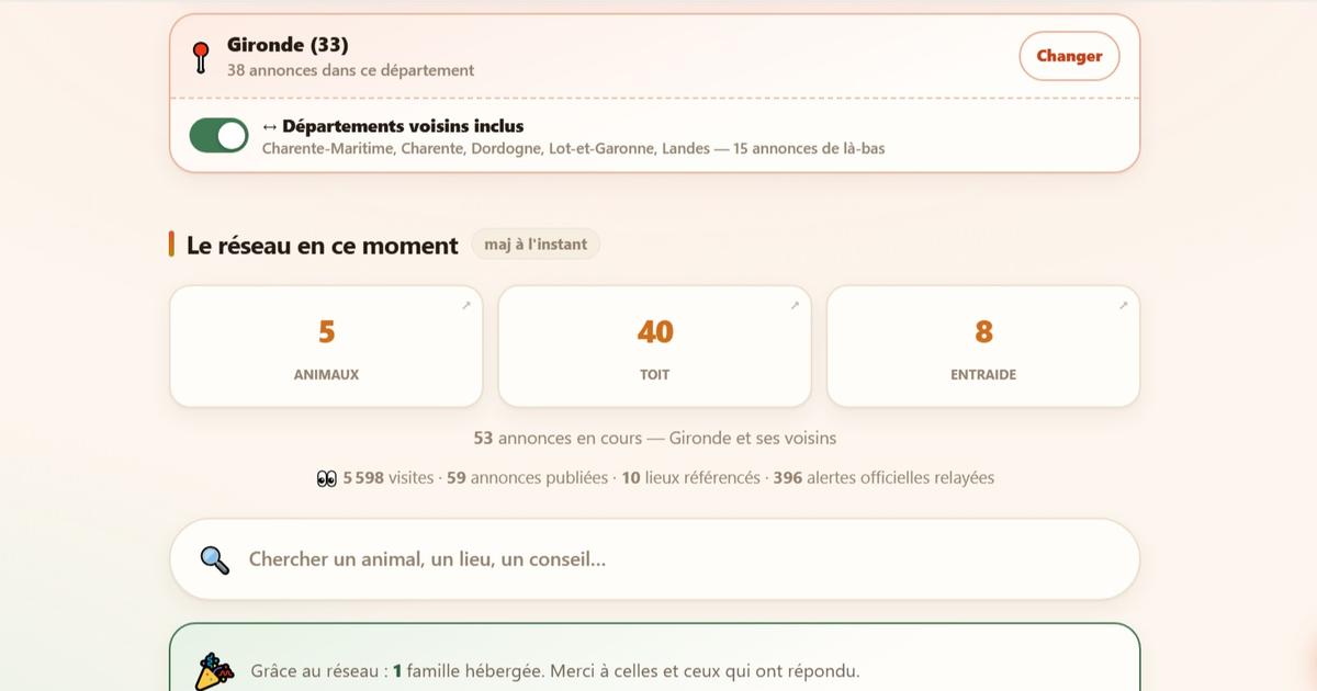 Hébergements, signalement d’animaux perdus… Alabri, une plateforme solidaire face aux incendies en Gironde