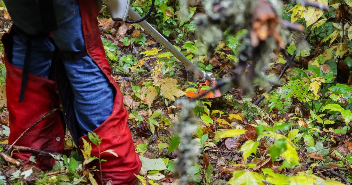 Débroussaillement : après la série d’incendies, la traque aux parcelles à risque s’intensifie en Loire-Atlantique