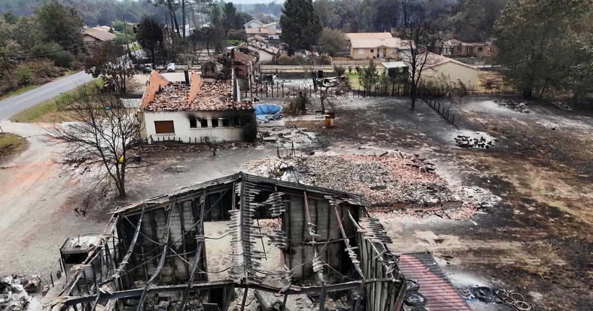 EN DIRECT - Incendies en France : les assureurs prendront en charge les frais de relogement des personnes évacuées, assure le gouvernement