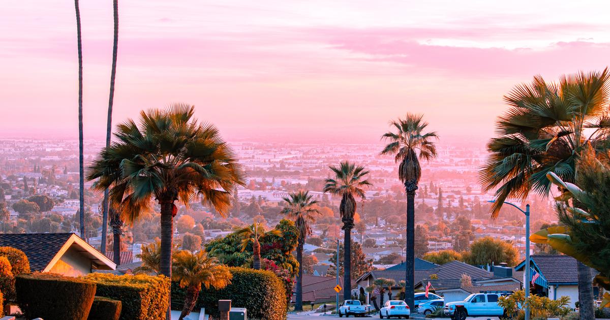 “Buy, Borrow, Die”: How Tech Billionaires Finance Their Lifestyles
