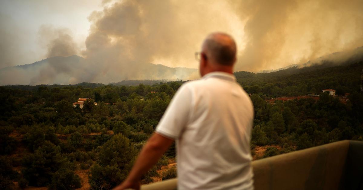 Avec 170 000 hectares brûlés depuis le début de l’année, l’Espagne est confrontée aux pires feux de son histoire