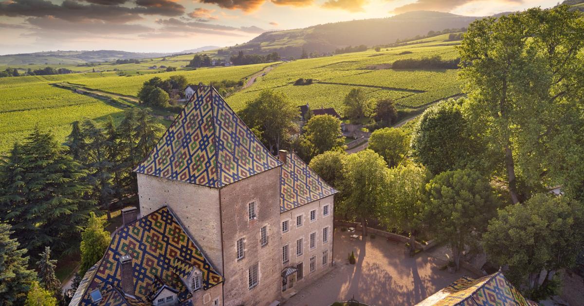 La Bourgogne des initiés : découvrez la nouvelle vente très privée du Figaro