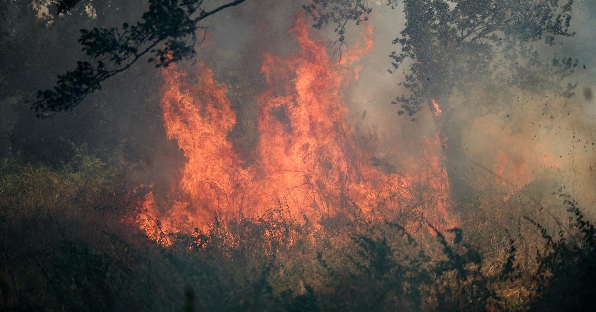 2026 est la pire année jamais enregistrée sur le front des incendies en France