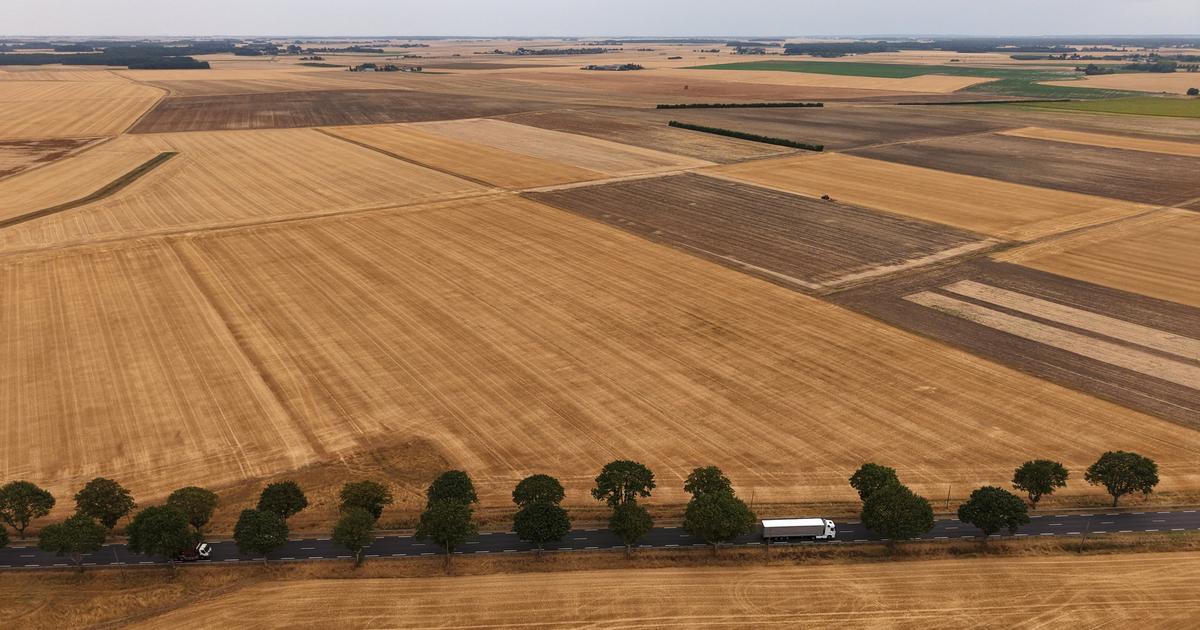 «Être sûr d’avoir de l’eau potable au 1er septembre»: face à une sécheresse historique, l’exécutif prêt à «sortir du cadre»
