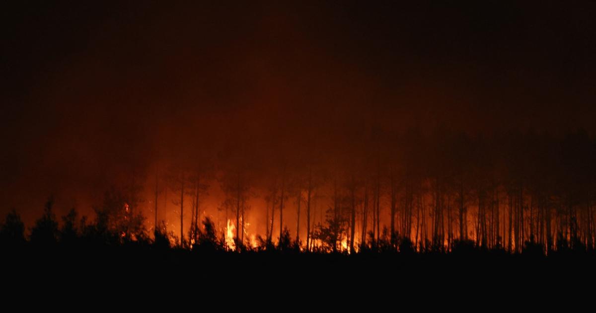 Incendies en France : en Gironde et dans les Landes, les campings en première ligne