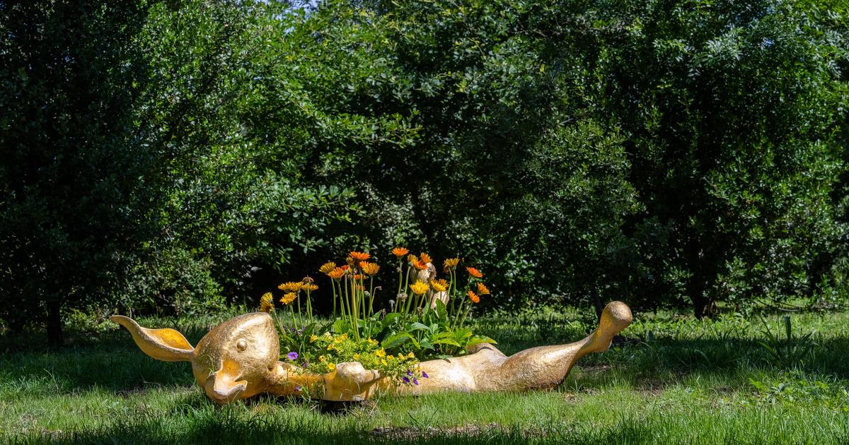 «Viens chez moi, j’habite au milieu d’œuvres» : quand les artistes et galeristes ouvrent leur résidence pour faire goûter l’art autrement